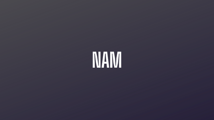 NAM Amp Captures